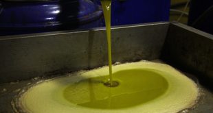 Taounate : des mesures allier trituration des olives et respect environnement