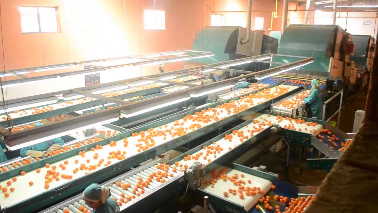 109 millions de dirhams pour une station d’emballage de fruits et légumes à Dakhla