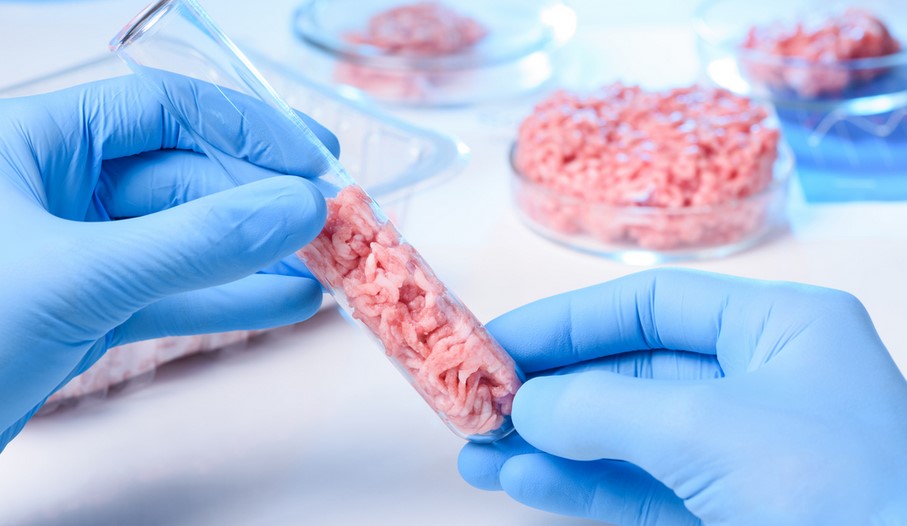 Singapour autorise la vente de viande de poulet de laboratoire