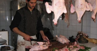 Viande de volaille: Le non-respect des normes sanitaires