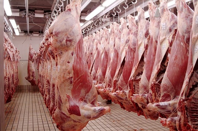 La viande rouge « probablement cancérigène »