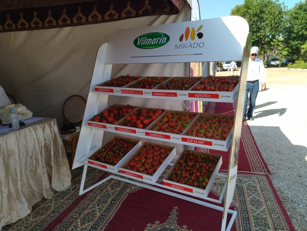 Vilmorin-Mikado Atlas organise un Séminaire spécial Tomate : Qualité et Sécurité au service des producteurs !