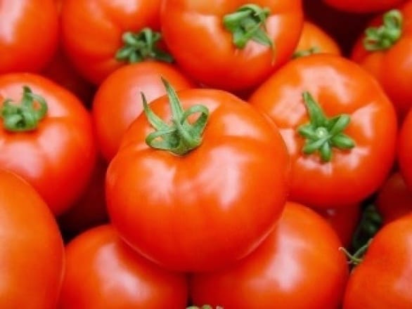 الحرب الإسبانية ضد الطماطم المغربية لا تزال مستمرة