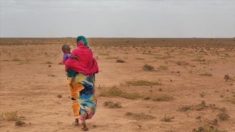 الفاو تحذر من الجفاف و قلة الأمطار في شرق أفريقيا