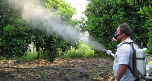 المبيدات الحشرية هي السبب في نصف الوفيات بالتسمم