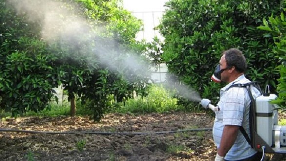المبيدات الحشرية هي السبب في نصف الوفيات بالتسمم