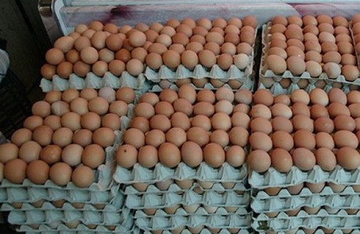 المغاربة يستهلكون 840 مليون بيضة في رمضان