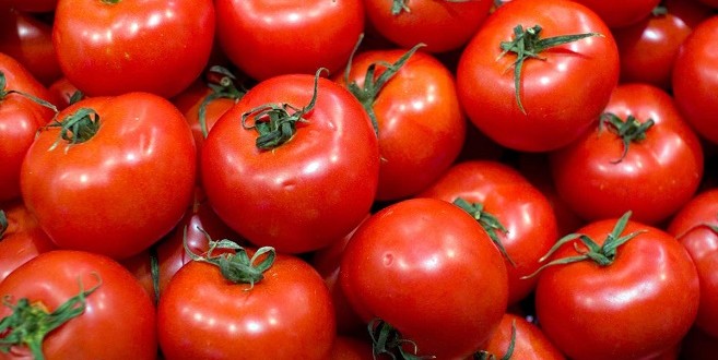 انخفاض صادرات المملكة من الطماطم و البطيخ