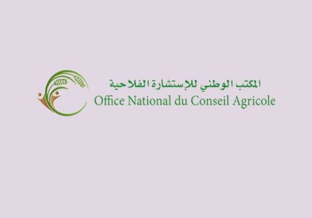 جواد باحجي مدير وطني للاستشارات الفلاحية