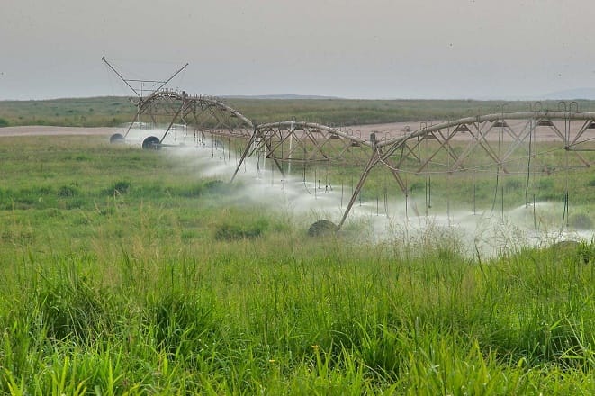 قطر: إطلاق مبادرة لدعم المزارع المحلية