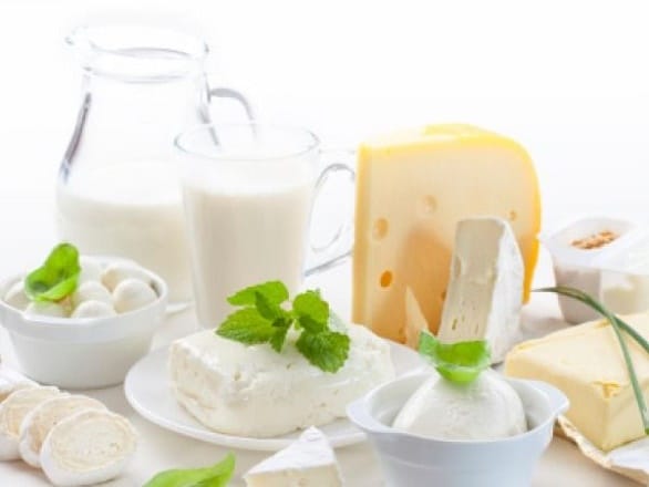 تنظيم يوم دراسي حول جودة الحليب و مشتقاته بالمغرب